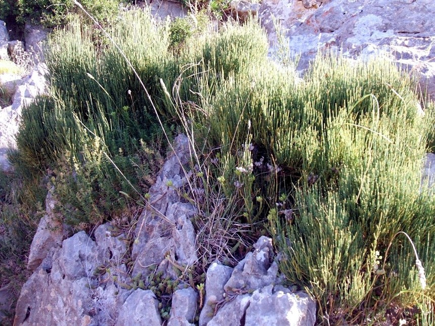 I colori del Gargano